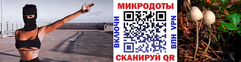 магазин    Данилов  Псилоцибиновые грибы GOLDEN TEACHER 